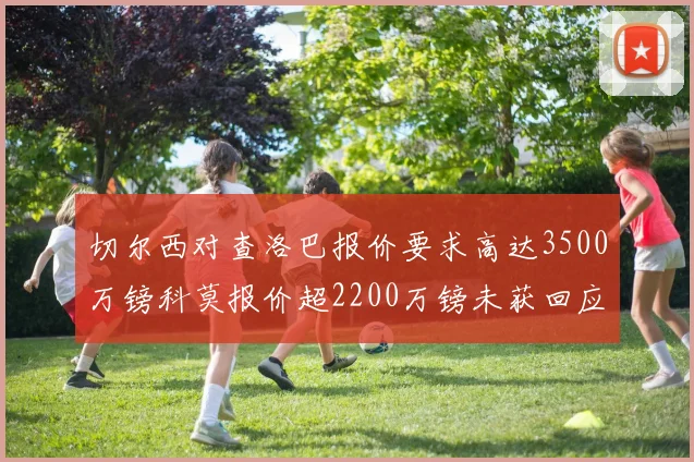 切尔西对查洛巴报价要求高达3500万镑科莫报价超2200万镑未获回应
