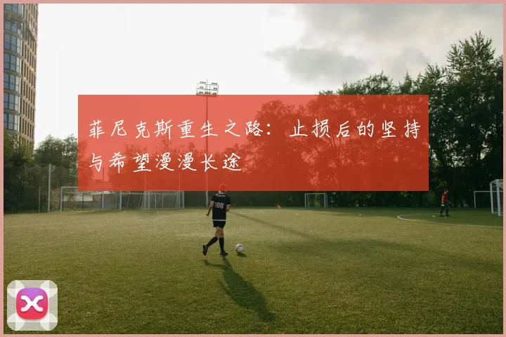 菲尼克斯重生之路：止损后的坚持与希望漫漫长途